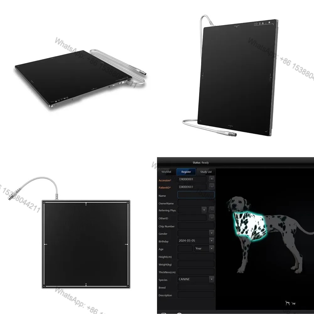 Tech Accessories & Gadgets - 2026 Gorąca Wyprzedaż 1717 cali przewodowy